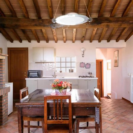 Apartmán Domus Claudiae Sansepolcro Exteriér fotografie